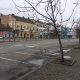 Cum arată străzile Clujului de sărbători