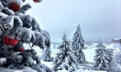Zapadă în munţii Clujului. La Băişoara se pregăteşte pârtia de ski