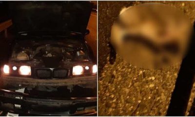 Accident pe A3, după ce un iepure a sărit în faţa unui BMW. Lipsea gardul de protecție