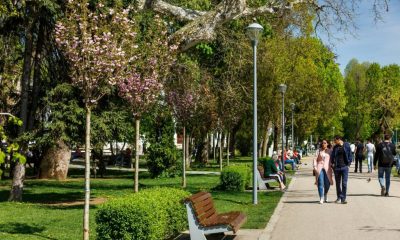 Clujul ar putea fi primul oraș din România cu manageri de parcuri