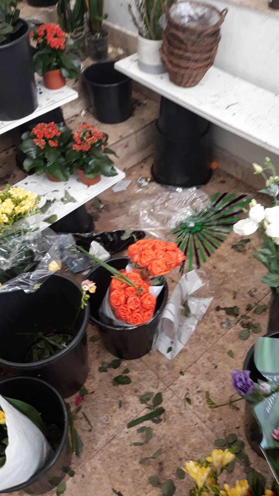 Florărie din Cluj, închisă și amendată din cauza mizeriei