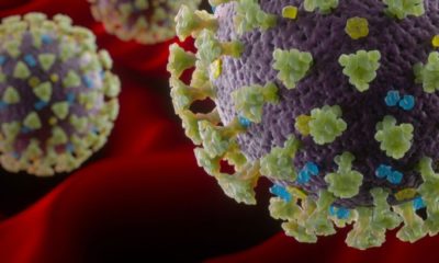 Coronavirusul face prima victimă la Parlamentul European