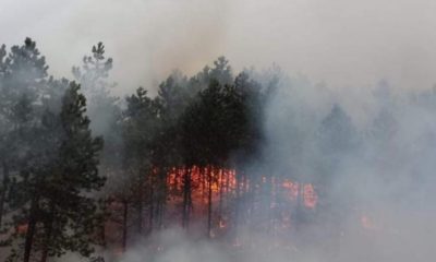 Incendiul din Făget | Pompierii le mulțumesc clujenilor care s-au implicat.  De la ce a pornit focul