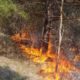 Incendiu într-o pădure de lângă Cluj. Focul a pornit dintr-o curte în care s-au ars deșeuri