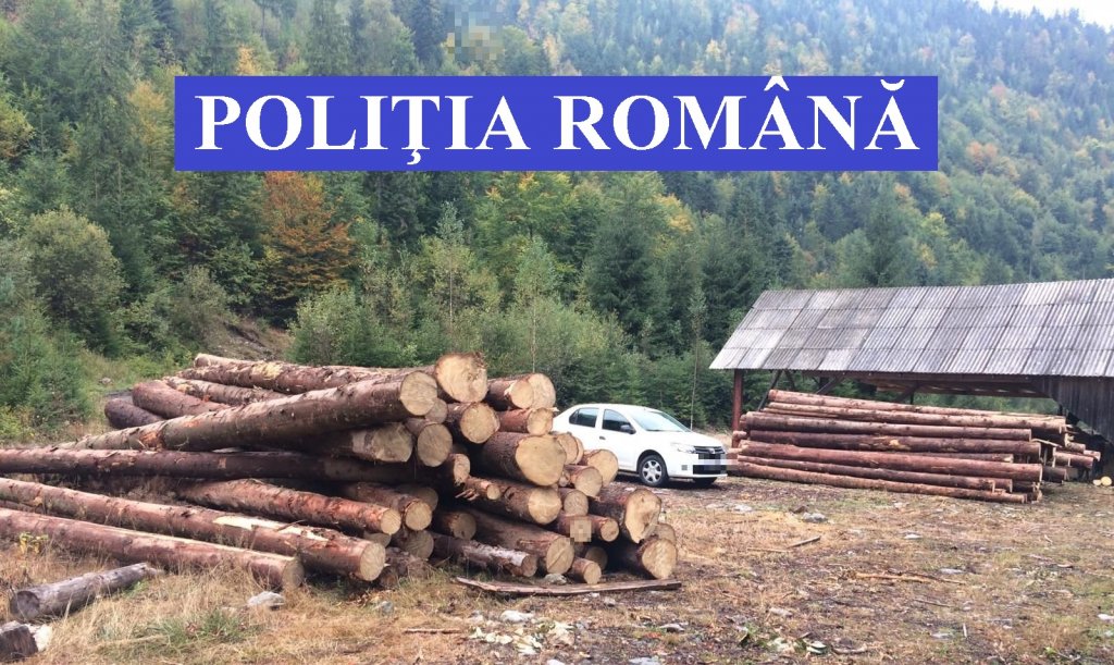 Ilegalități cu lemn. Confiscări de aproape 10.000 de euro în doar o săptămână