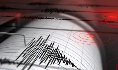 Cutremur cu magnitudinea de 4,6 în vestul țării