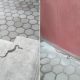 Un turdean s-a trezit că are un şarpe pe treptele casei