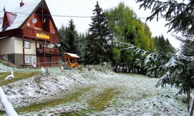 A nins la munte la Cluj