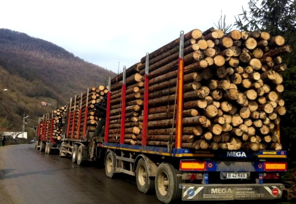 Polițiștii clujeni au confiscat 10 tone de lemne dintr-un transport ilegal