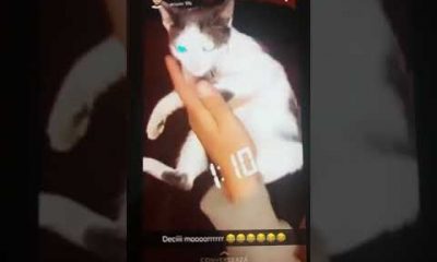 Adolescentul din Cluj, care ce s-a filmat când tortura și omora un pui de pisică, dat pe mâna poliției de propriul tată