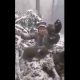 Cum se distrează românii chinuind animale: Pui de urs scoși din bârlog și aruncați în zăpadă