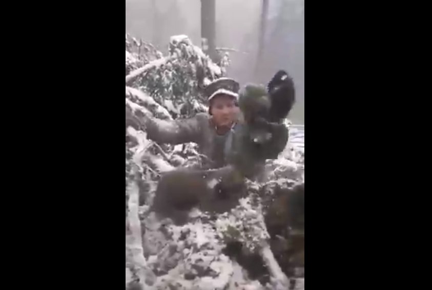 Cum se distrează românii chinuind animale: Pui de urs scoși din bârlog și aruncați în zăpadă