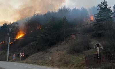 Incendiu la Băișoara. Flăcările au cuprins vegetația de pe marginea șoselei