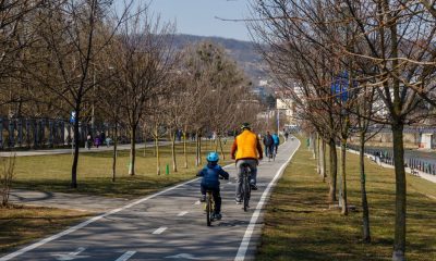1.000 de noi arbori și arbuști plantați la Cluj