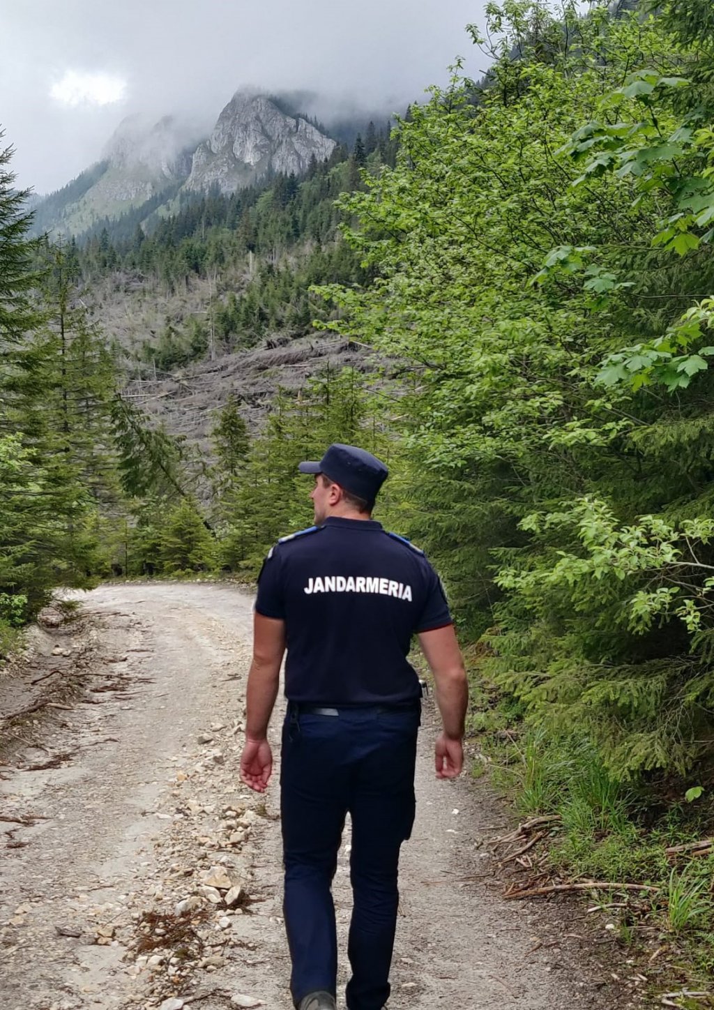Jandarmii clujeni au recuperat mai mulți turiști rătăciți din zona Someșul Cald