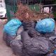 Municipalitatea plantează copaci în grădinile din cartiere, dar îi lasă pe clujeni cu gunoiul vegetal în drum cu săptămânile
