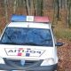 Tânărul din Cluj, dat dispărut de acasă, a fost găsit într-o pădure