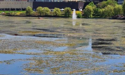RADP, despre lacul din Gheorgheni: "lucrările de curățare, deși efectuate în ritm susținut, sunt de durată"