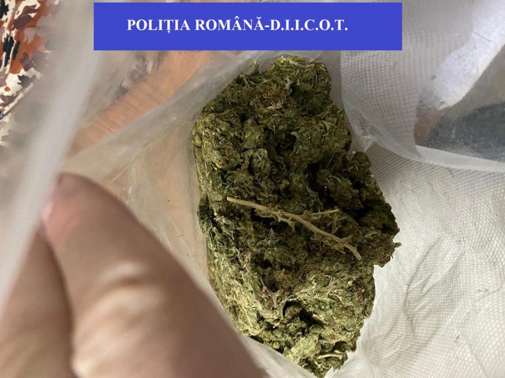 Traficanţi de cannabis şi MDMA, reţinuţi după percheziţii în Alba, Cluj şi Braşov