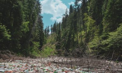 Dezastrul ecologic de pe lacul Beliș: Primăriile permit oamenilor să arunce gunoaiele în spatele curții, unde e pârâu