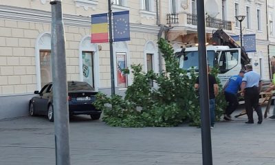 Şoferul unui BMW a smuls un copac din Piața Unirii înainte să se izbească de zid