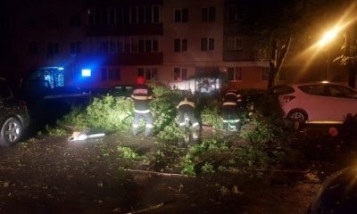 Furtuna de duminica. Mai multe apartamente distruseîn Dej, copaci căzuți la Turda, acoperiș smuls la Mihai Viteazu