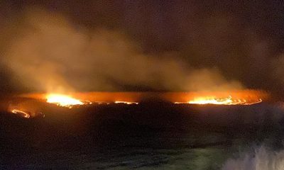 Incendiu de vegetaţie în Cluj, în apropierea unei pompe de carburant