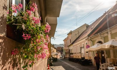 Sute de ghivece de flori pe Andrei Șaguna, Mica Veneție a Clujului