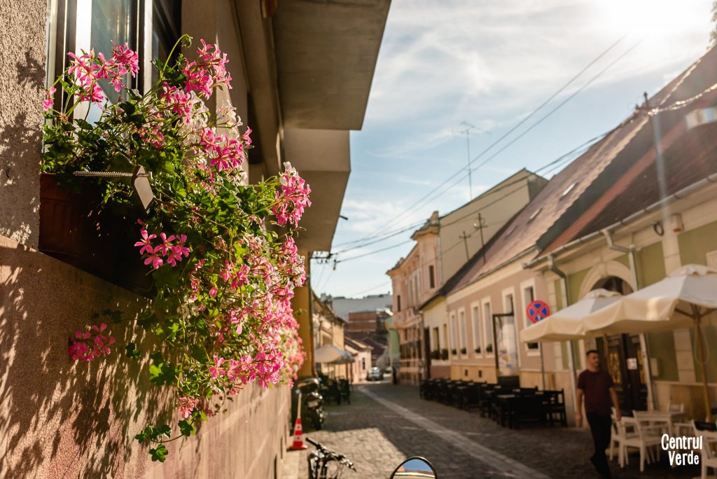 Sute de ghivece de flori pe Andrei Șaguna, Mica Veneție a Clujului