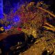 Un copac doborât de vânt a DISTRUS două maşini marţi seara la Cluj-Napoca