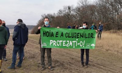 Cluj. A început bătălia anti-asfalt și anti-beton în Pădurea Hoia Baciu 1
