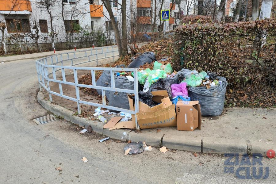 Gunoaiele blochează trotuarele în Clujul care oferă „cea mai bună calitate a vieții”