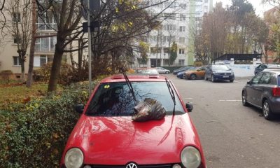 Se întâmplă în Cluj Napoca. S-a trezit cu o pungă de gunoi pe capotă, după ce a parcat pe marginea unei alei