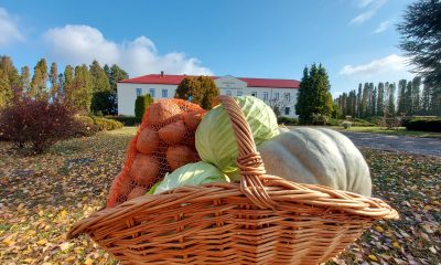 USAMV cheama clujenii sa cumpere recoltele produse de ei - E fain la Cluj!