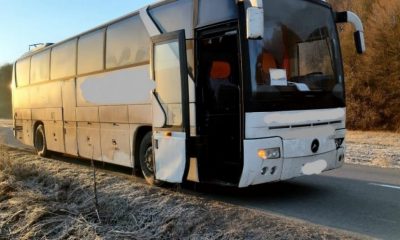 Accident cu pagube materiale în apropiere de Cluj. Un autobuz a lovit o ciurdă de vaci
