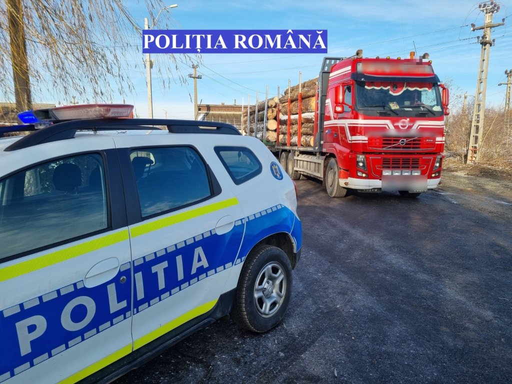 Bușteni fără acte, confiscați de poliţişti în Valea Drăganului