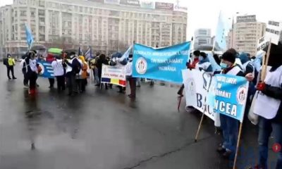 Clujul protestează în fața Guvernului și cere respectarea drepturilor salariale ale angajaților din învățământ: Suntem nemulțumiți de firimiturile aruncate de guvernanți drept măriri salariale