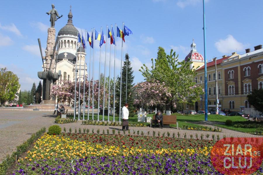 Patru firme cumpără flori de 1 MILION EURO pentru Primăria Cluj-Napoca. Cei mai mulți bani îi încasează omul de afaceri Ion Olteanu