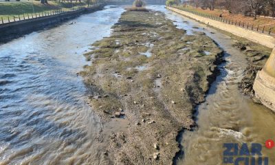 Peste 1,5 milioane de euro pentru decolmatarea cursurilor de apă și curățarea rigolelor de la nivelul municipiului Cluj-Napoca