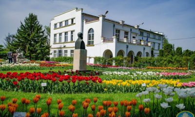 Cum a ajuns Gradina Botanica din Cluj-Napoca sa aiba 170.000 de vizitatori in 2021 - E fain la Cluj!