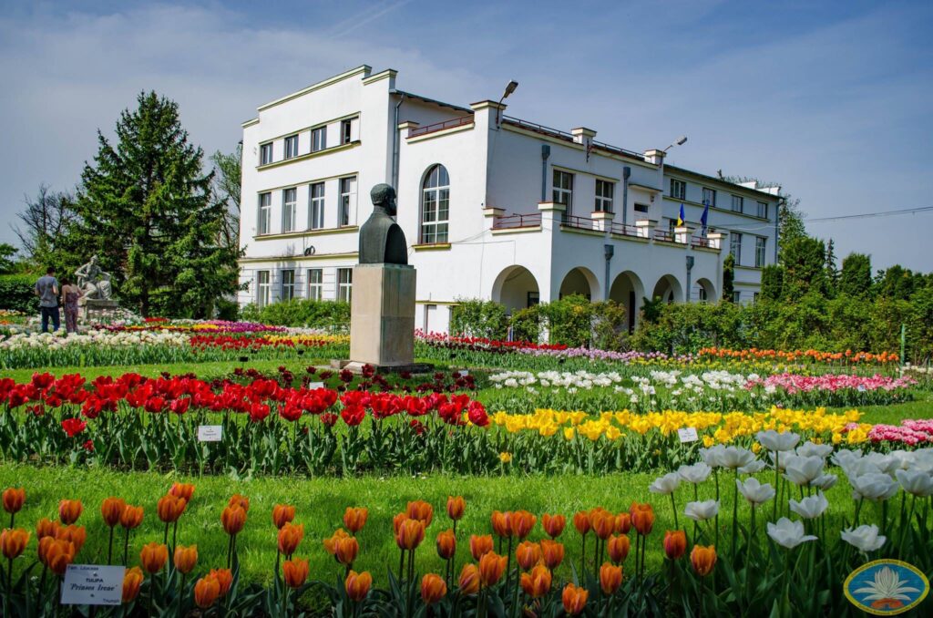Cum a ajuns Gradina Botanica din Cluj-Napoca sa aiba 170.000 de vizitatori in 2021 - E fain la Cluj!