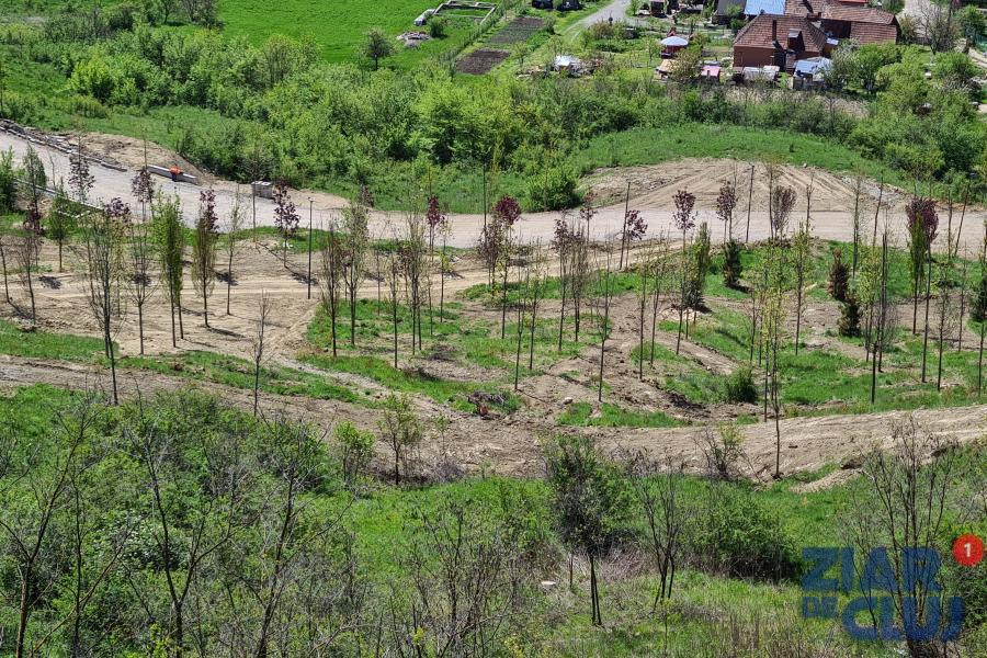 Pădurea clujenilor va fi recepționată odată cu cimitirul de pe Moș Ion Roată