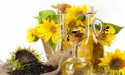 România, cel mai mare producător de semințe de floarea soarelui din UE, importă zeci de mii de tone de ulei din Bulgaria, Ungaria și Moldova