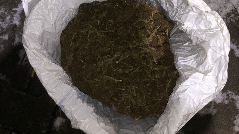 2 tineri din Cluj au încercat să vândă 1,5 kilograme de canabis