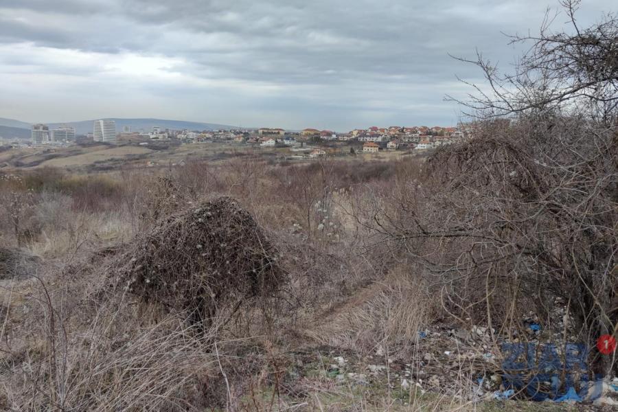 Eco-Clujul de 5 tomberoane. Şi o “propunere” de relocare a romilor de la Pata Rât, să nu o încurce în afacere pe amica imobiliară a lui Boc, Elena Udrea