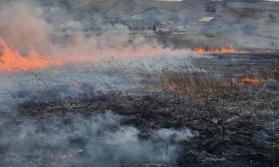 Gospodarii clujeni au provocat 18 incendii de vegetație în ultimele zile. ISU avertizează că unii îşi riscă viaţa astfel, nu doar bunurile