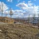 Pădurea Clujenilor, un deal cu un pâlc de copaci, nu este finalizată, cu toate că primarul Boc declară că e „în faza finală de recepție”