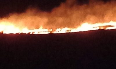 ARDE CLUJUL: Incendii de vegetaţie în Feiurdeni. Primarul din Chinteni: "INCONŞTIENŢĂ" şi "NEPĂSARE"
