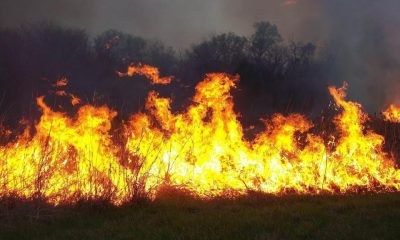 Atenție la incendiile de vegetație! Peste 50 de intervenții ale pompierilor, în doar 3 zile
