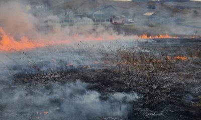 Avertizările ISU au fost în zadar. Tot mai multe incendii de vegetație la Cluj